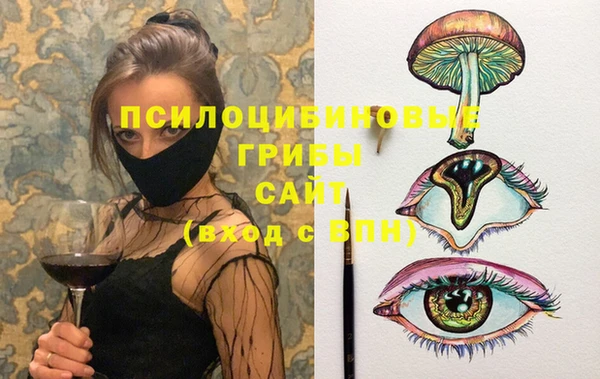 гидра Аркадак