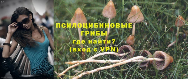 Альфа ПВП Арсеньев