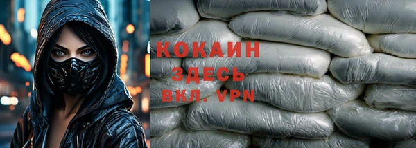 гидра Аркадак